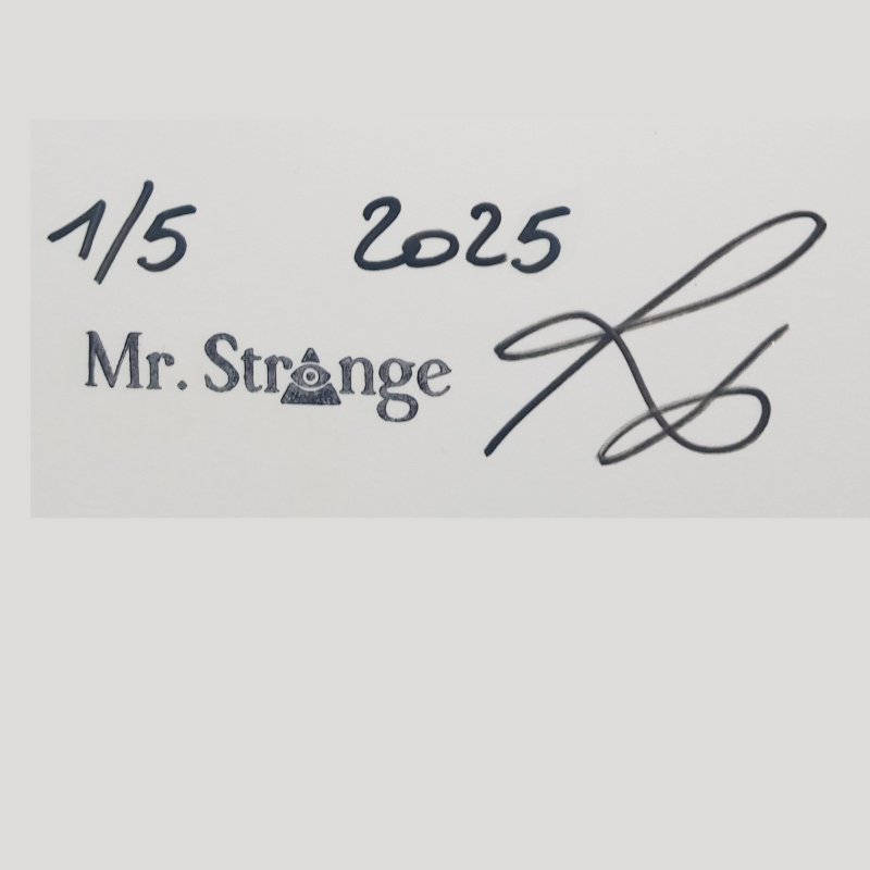 Enchères Errare humanum est pop Art